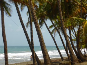 Plage Grande Anse Trois Rivieres                     